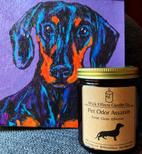Load image into Gallery viewer, Pet Odor Assassin